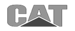 CATlogogray